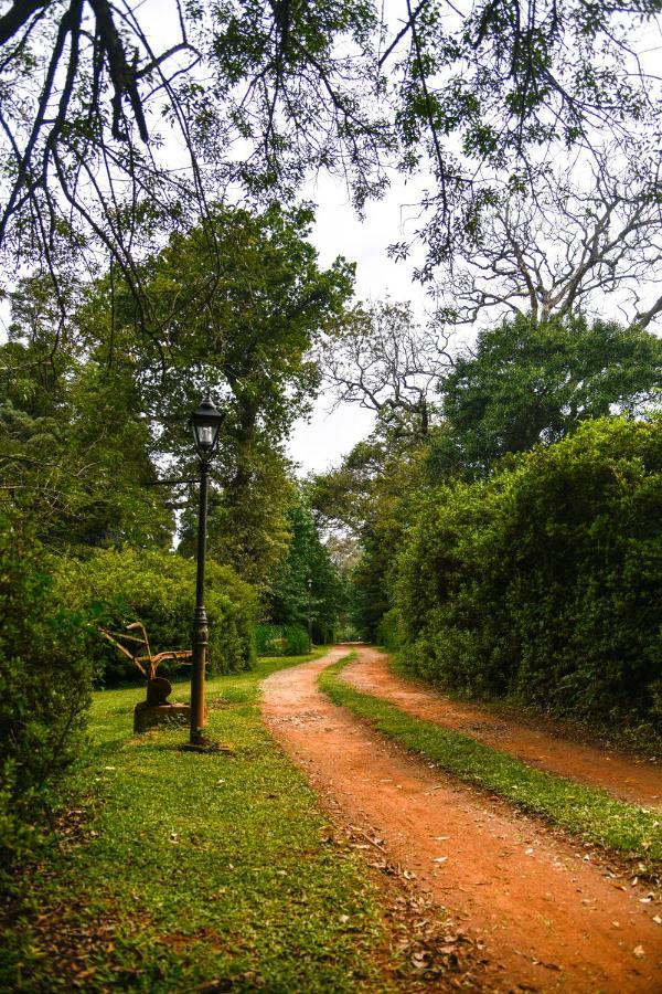 הוילה הילטון The Knoll Historic Guest Farm מראה חיצוני תמונה