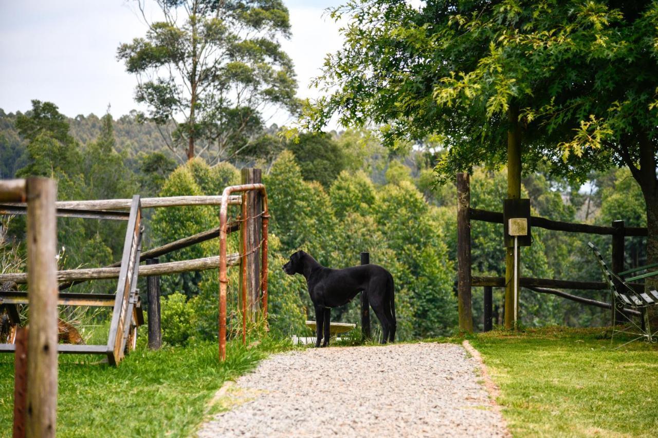 הוילה הילטון The Knoll Historic Guest Farm מראה חיצוני תמונה