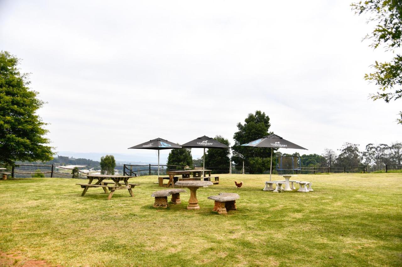 הוילה הילטון The Knoll Historic Guest Farm מראה חיצוני תמונה