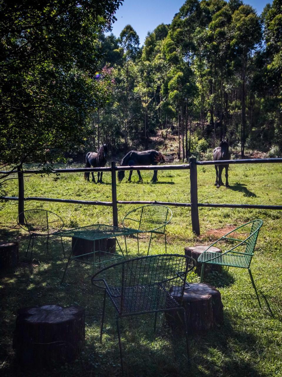 הוילה הילטון The Knoll Historic Guest Farm מראה חיצוני תמונה